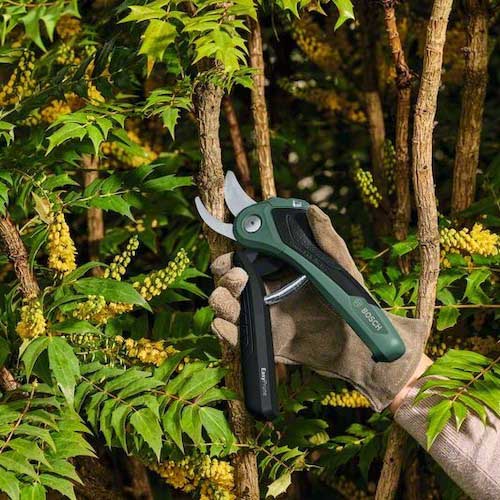 【廃番】ボッシュ コードレス剪定バサミ EASYPRUNE