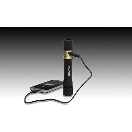 GENTOS 充電式LEDハンディライト レクシード486PB RX-486PB