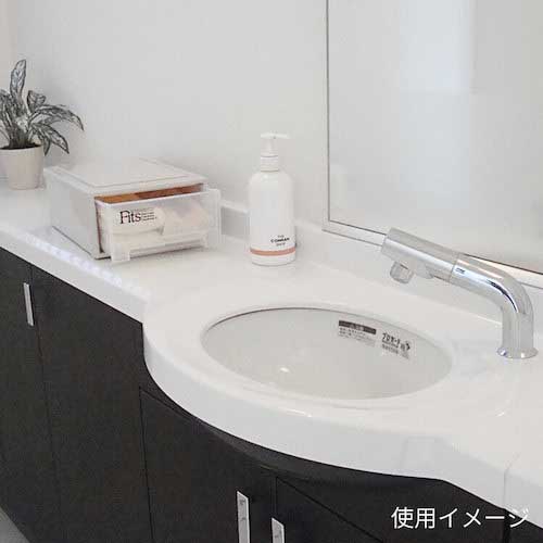 TENMA フィッツケース スモール カプチーノ 224×307×124 811001035