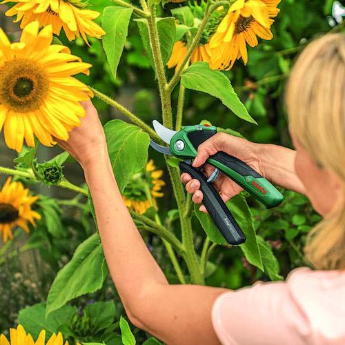 【廃番】ボッシュ コードレス剪定バサミ イージープルーンEASYPRUNE 06008B2151