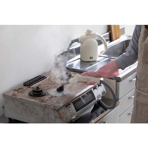 アイリスオーヤマ 102093 スチームクリーナー ハンディータイプ STM-305R-C