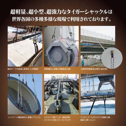 DAIDOHANT タイガーシャックル ボルトナット型(BB型) 3.2トン用【2個入】 (d)16mmx(D)19mm 10195741