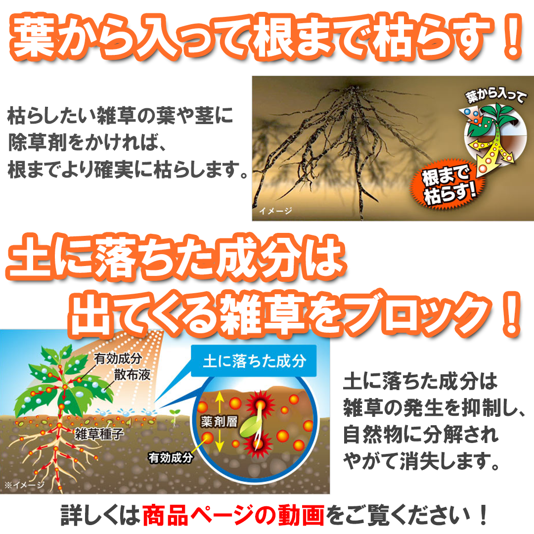 日産化学 茎葉処理除草剤 ラウンドアップマックスロードALV 長期持続タイプ 2L