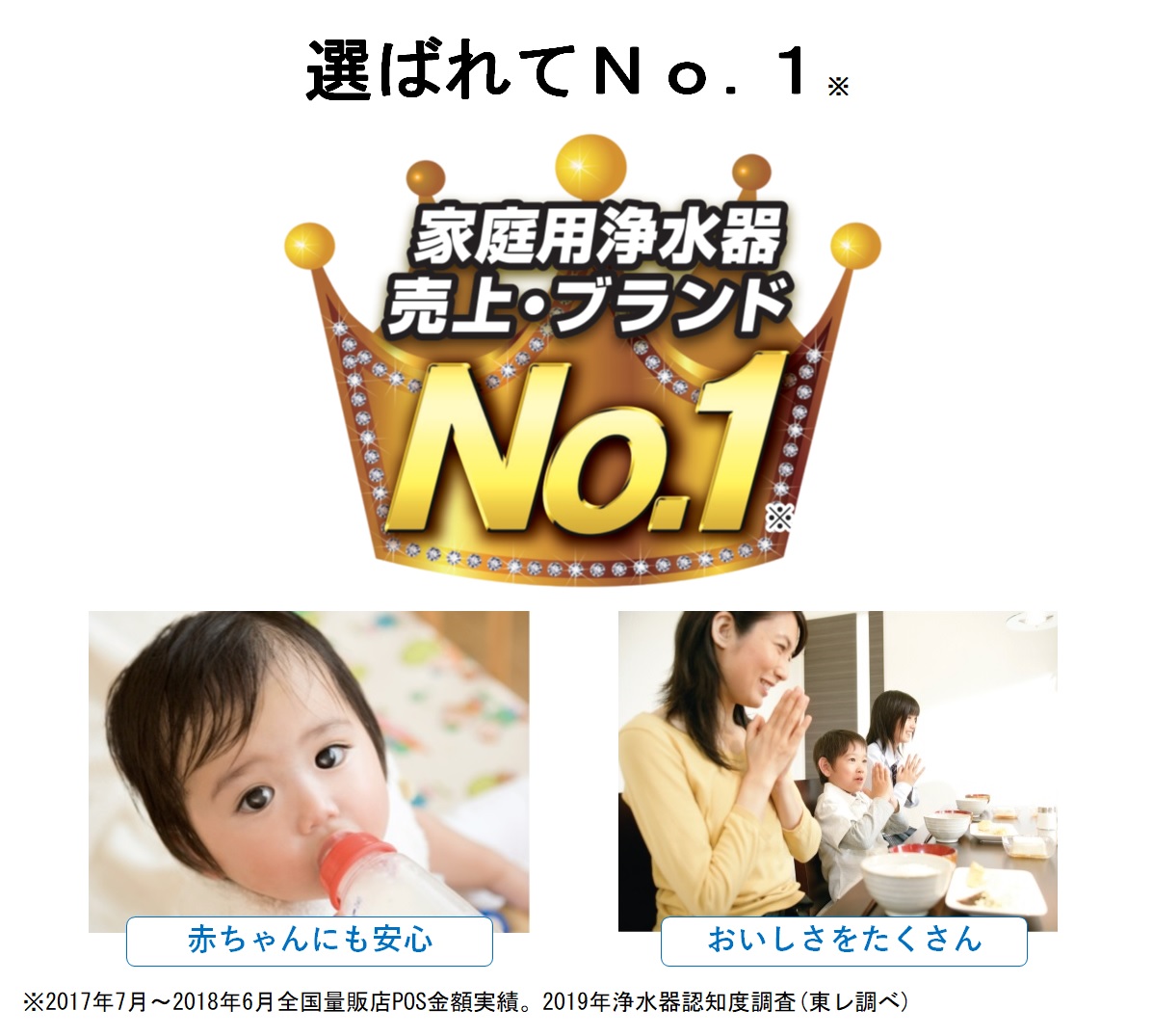 東レ トレビーノ カートリッジ PTC.SVJ (1個入り)