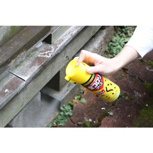 アース 虫コロリアース(エアゾール)300ml 066503