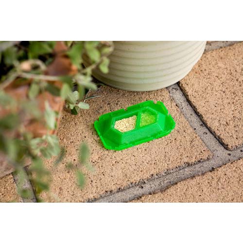 アース スーパーアリの巣コロリ 255013