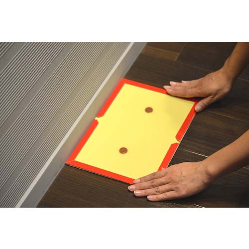 アース ネズミホイホイ チューバイチュー (折り目付き) 570215