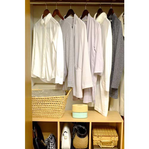 【廃番】アース 【在庫限りで終売】防虫用品 ピレパラアース 防虫力おくだけ消臭プラス ハーブミントの香り 575418