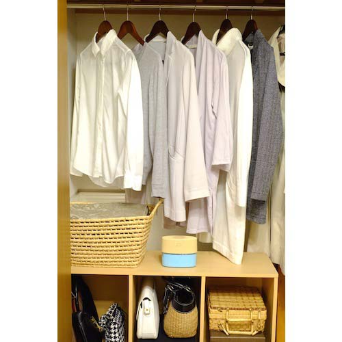 【廃番】アース 防虫用品 ピレパラアース 防虫力おくだけ消臭プラス 柔軟剤の香りアロマソープ 575616