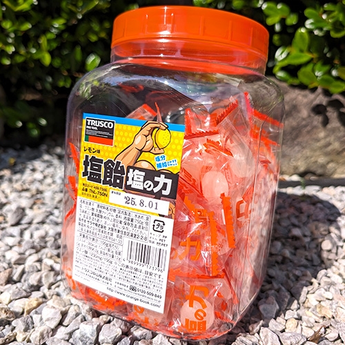 TRUSCO 【※軽税】 塩飴 塩の力 750g レモン味 ボトルタイプ TNL-750N