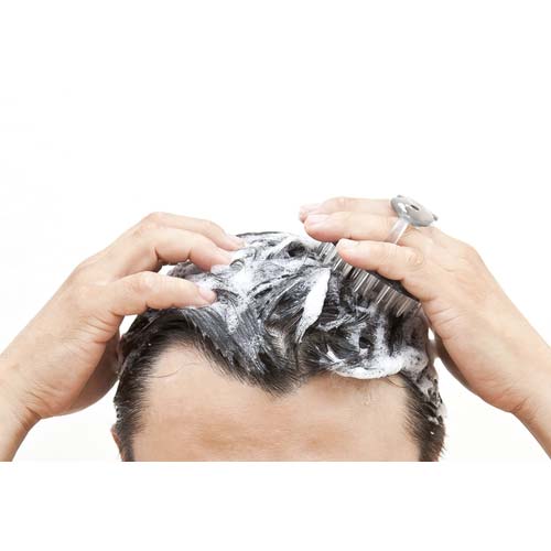 GREENBELL シャンプーブラシ(ブラック) SE-026