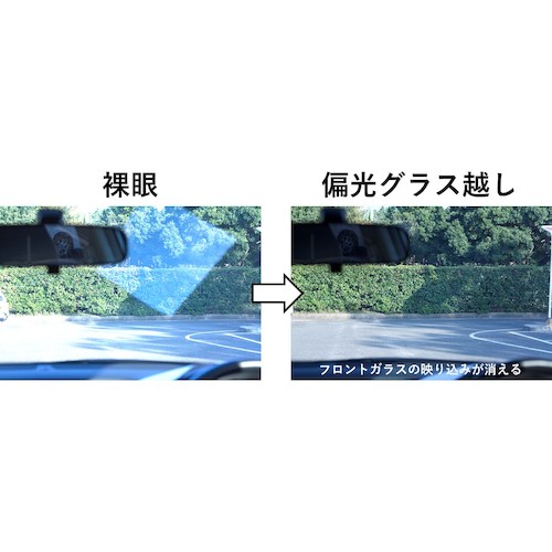 【廃番】ゼクー TITICACA(偏光) フロストグレー MB/SI F1942