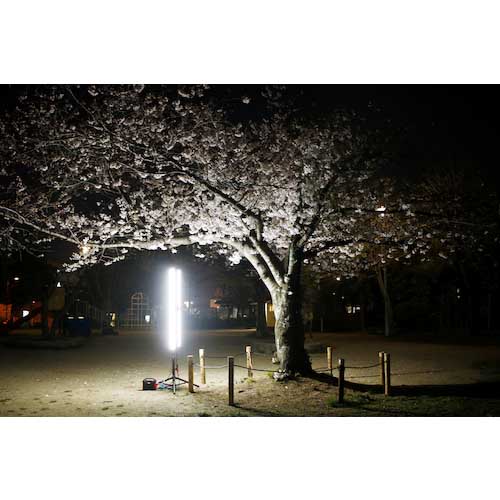 富士倉 42000mAh モバイルバッテリー BA-155