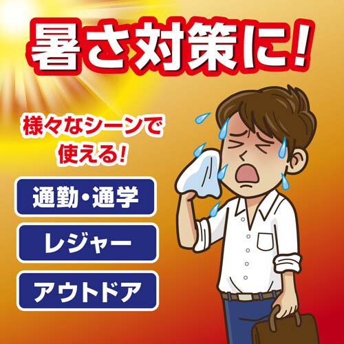 アイスノン 【2025年メーカー今季完売】シャツミスト ICE KING 024910