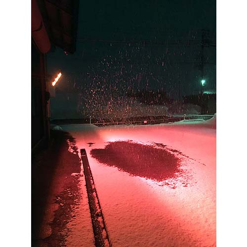 アースブロー 赤外線融雪ヒーター 4500W EA-GOLD4500W