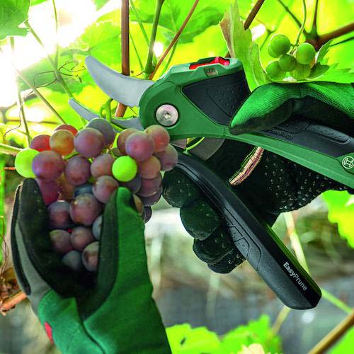 【廃番】ボッシュ コードレス剪定バサミ イージープルーンEASYPRUNE 06008B2151