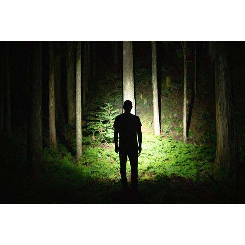 LEDLENSER レッドレンザー充電式ヘッドライト HF8R Core RGB 503089