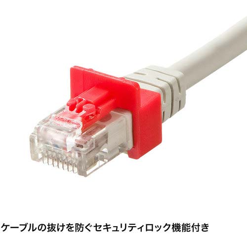 SANWA RJ-45プラグロック ADT-RJ45LOCK