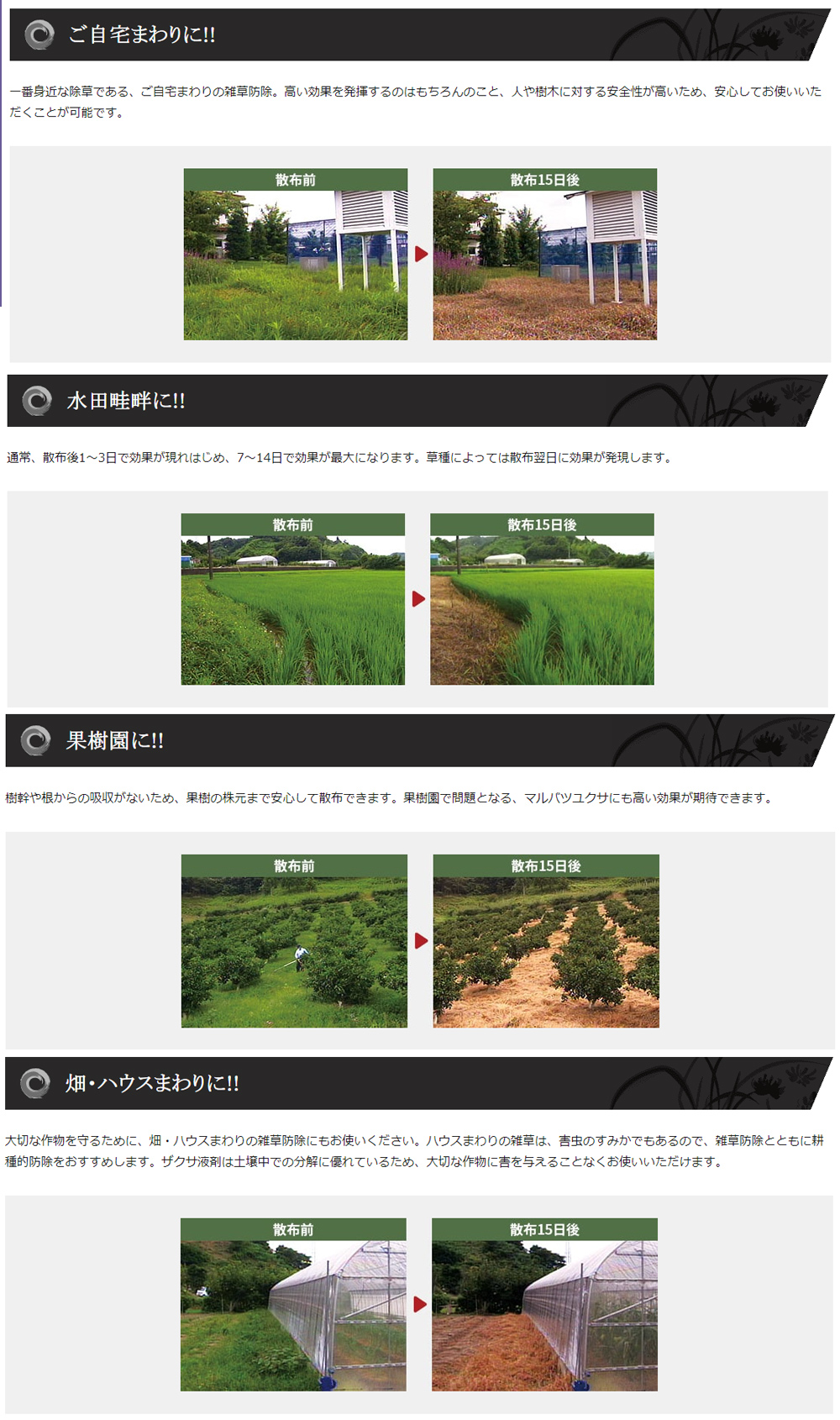 三井化学 茎葉処理除草剤 ザクサ液剤