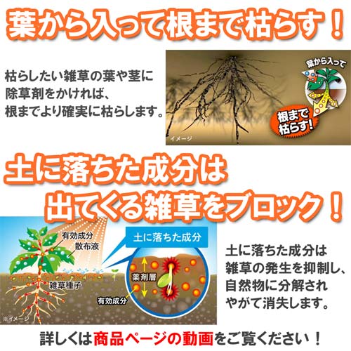日産化学 茎葉処理除草剤 ラウンドアップマックスロードALV 長期持続タイプ