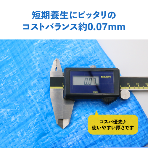 現場市場 ブルーシート 軽量タイプ 1.8m×5.4m (実寸1.7m×5.2m) OSK-BSK1854