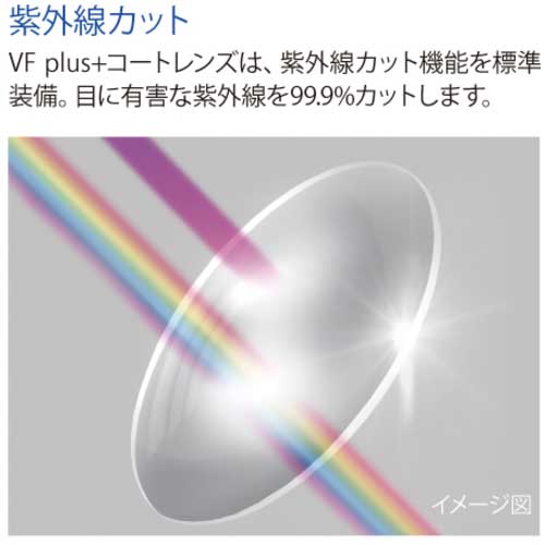 リケン 防曇ゴグル(無気孔型・めがね併用可・マスク併用可) M56-VF-P