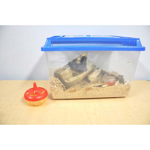 アース コバエがホイホイ 2個入 280916