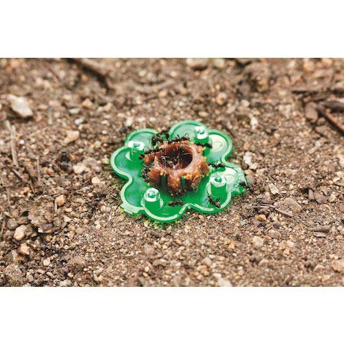 【廃番】アース ガーデン ハイパーアリの巣コロリ 284815