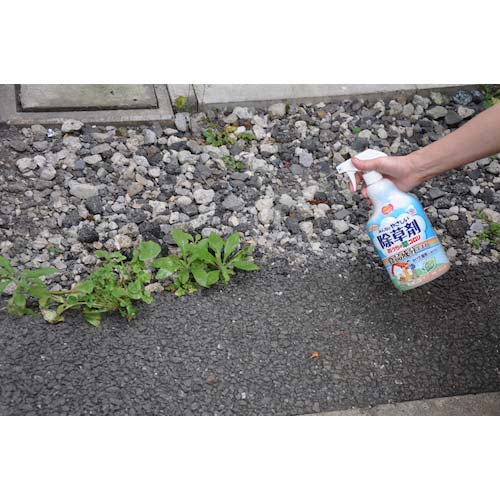 アース 除草剤 ガーデンおうちの草コロリスプレー1000ml 290816