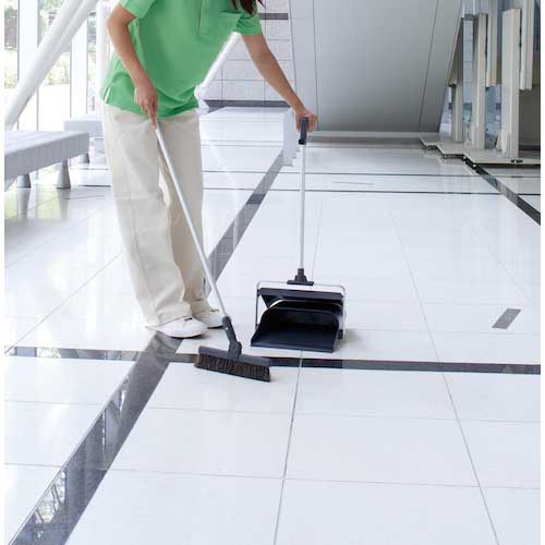 テラモト エコBM-2チリトリ アクアブルー DP-465-100-5