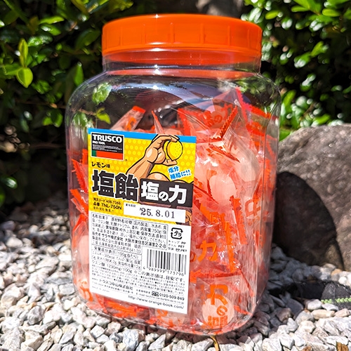 TRUSCO 【※軽税】 塩飴 塩の力 750g レモン味 ボトルタイプ TNL-750N