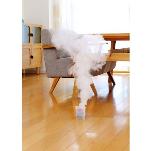 アース 殺虫剤 ゼロノナイト イヤな虫 くん煙剤 6〜8畳用 052414