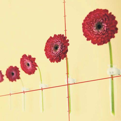 ボッシュ クロスラインレーザー QUIGOPLUS 0603663651