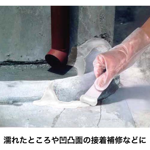 セメダイン 水中エポキシ 1kgセット(水の中でも固まる) AP-001