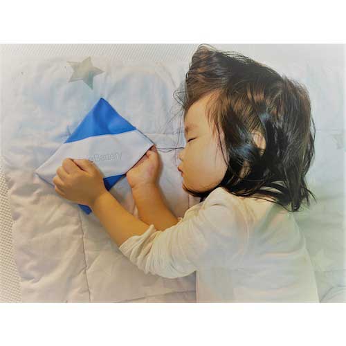 長時間凍結する保冷剤 アイスバッテリー 154724