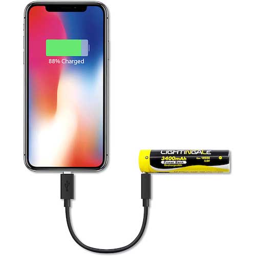 ライティンゲイル 明るさ1250ルーメンLEDフラッシュライト【スマホにも給電できる充電池付属】 LTG1001