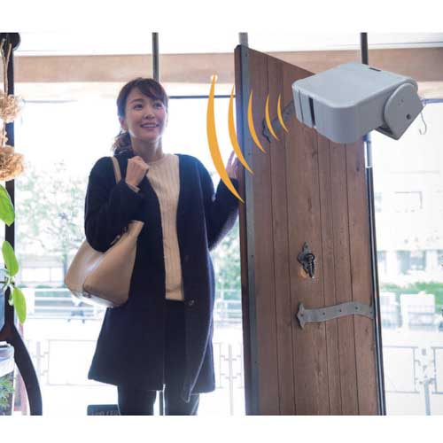 REVEX 人感センサーチャイムセット XP750A