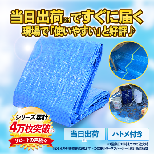 現場市場 ブルーシート 軽量タイプ 1.8m×5.4m (実寸1.7m×5.2m) OSK-BSK1854