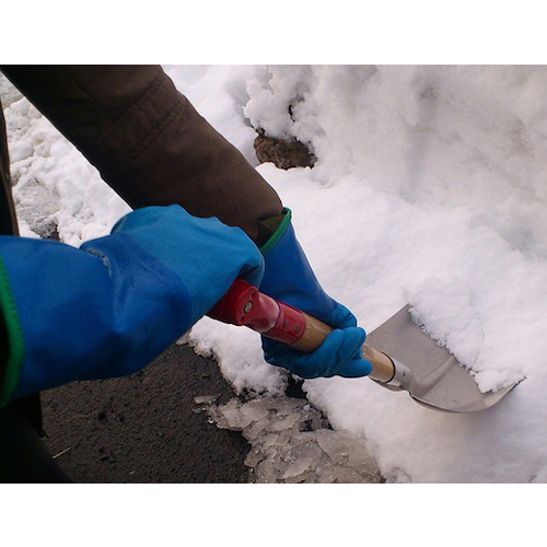 【まとめ買い】SHOWA 防寒手袋 No.282 防寒テムレス ブルー LLサイズ NO282-LL【10双入り】