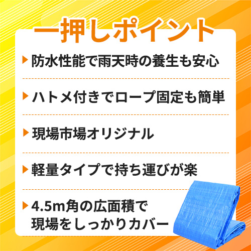 【アウトレット】現場市場 ブルーシート 軽量タイプ 4.5m×4.5m (実寸4.3m×4.3m) OSK-BSK4545