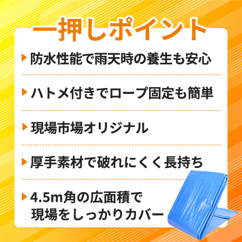 【アウトレット】現場市場 ブルーシート #3000 4.5m×4.5m (実寸4.3m×4.3m) OSK-BS30-4545