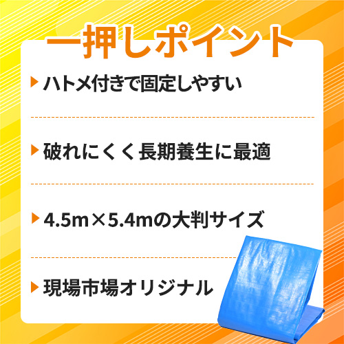 【アウトレット】現場市場 ブルーシート #4000 4.5m×5.4m (実寸4.3m×5.2m) OSK-BS40-4554