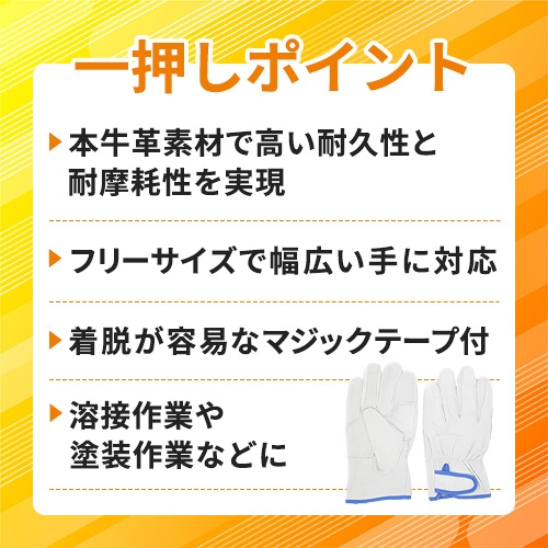 富士グローブ 牛革手袋 クレスト F-2