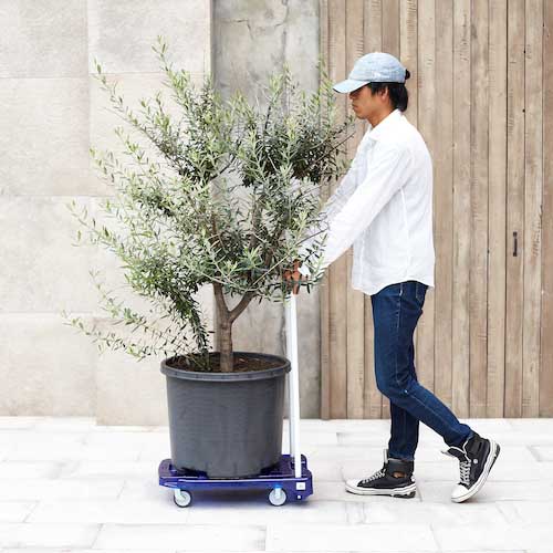 【廃番】TRUSCO 樹脂台車 アクロキャリー PC製 省音車輪 600X390 グリーン透明 S付 AC-1PC-GN-S