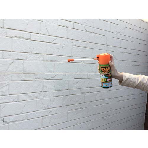 アース カメムシコロリ300ml 281012