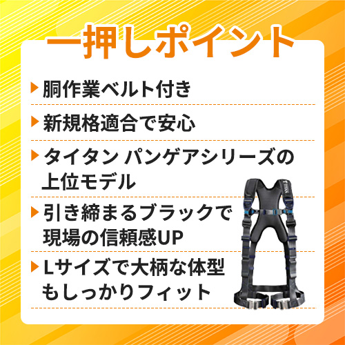 タイタン パンゲア ホライゾン ブラック L (墜落制止用器具) PAHN-10A-BL-L