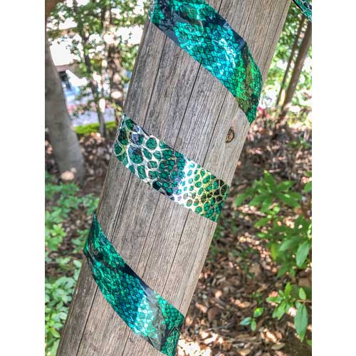 Dio 防鳥用品 スネークテープ 1Pk＝2色入り(ヘビ柄緑1巻、ヘビ柄