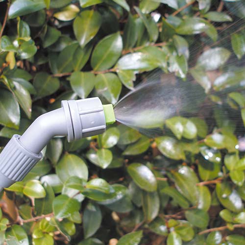 E-Value 蓄圧式噴霧器 4L SAS-4000N