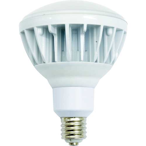 NICHIDO 投光器用LED交換球 ハイスペックエコビック40W E39 昼白色 本体白 L40V2-J110-50K