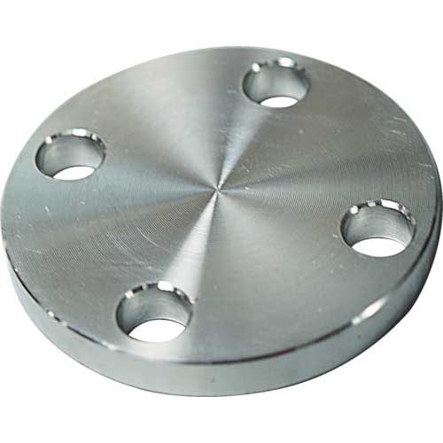 FLOBAL SUS304 10K 閉止フランジ 14100575 SUS-10K-BL-FF-50A